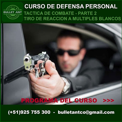 curso instructor de armas